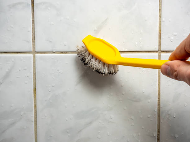 Best Local Mold Removal Service  in Waxahachie, TX