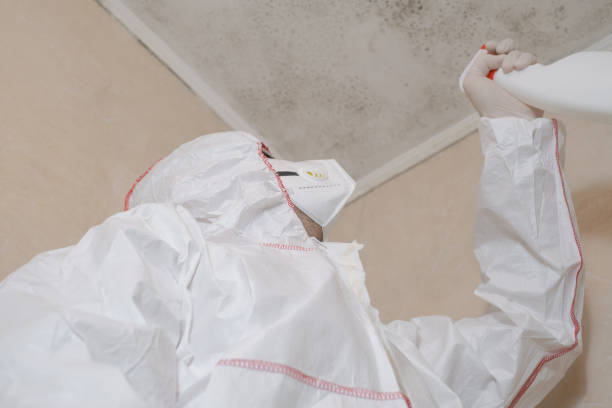 Best Mold Cleaning Services  in Waxahachie, TX