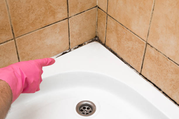 Best Mold Inspection  in Waxahachie, TX
